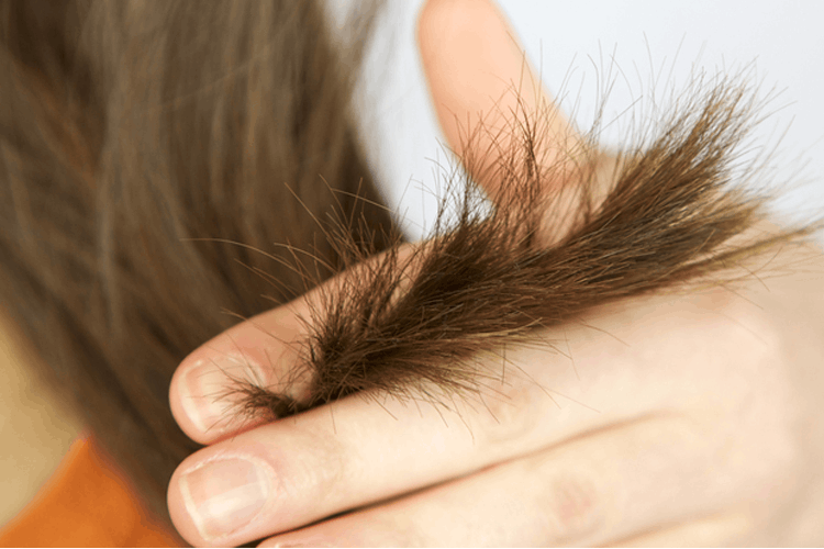 Split Ends Hair Treatment