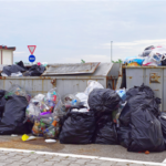 Give some reasons why Trash Valet Services are in Demand