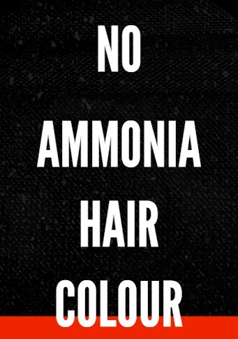 no ammonia hair colour